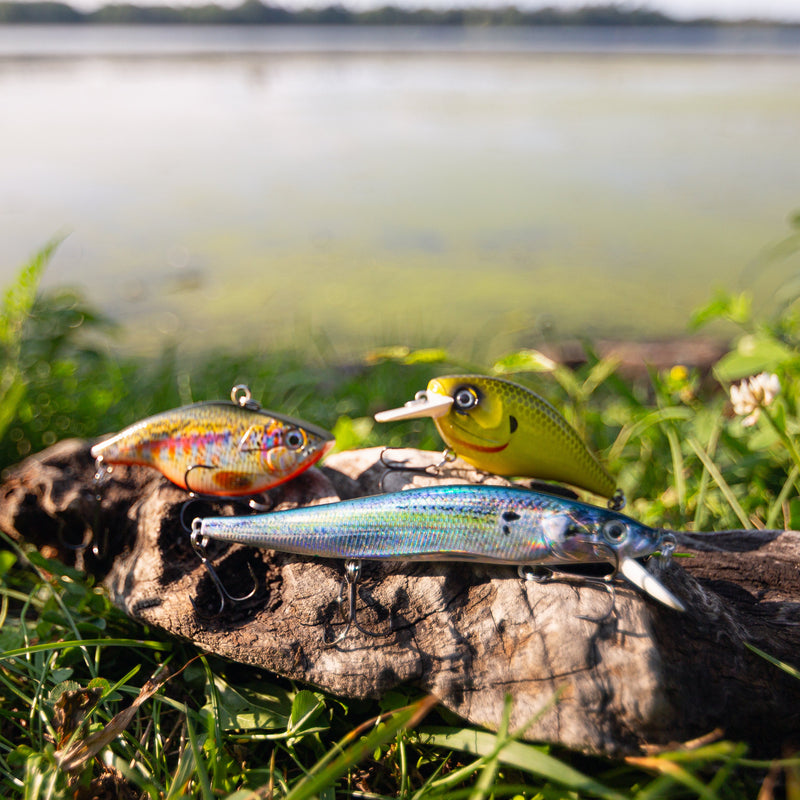 Cargue la imagen en el visor de la galería, Three fishing lures displayed on a log outdoors in grassy water, including a silver-blue baitfish, a yellow topwater lure, and a multicolor crankbait.