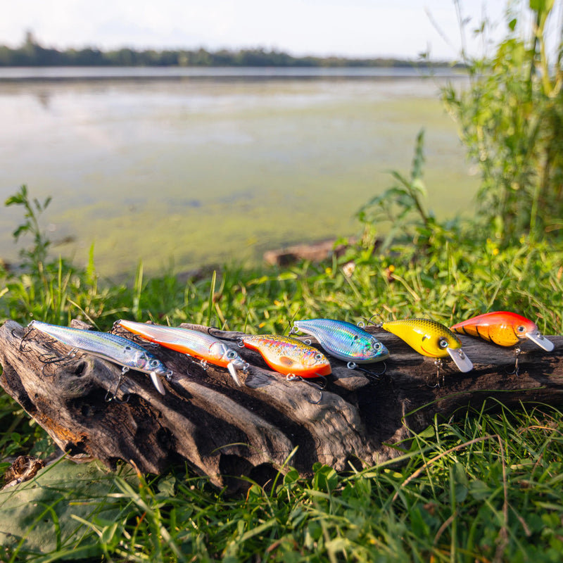 Cargue la imagen en el visor de la galería, Six fishing crankbait lures in various colors (silver, orange, blue, yellow, red) arranged on a piece of driftwood in a grassy lakeside setting.