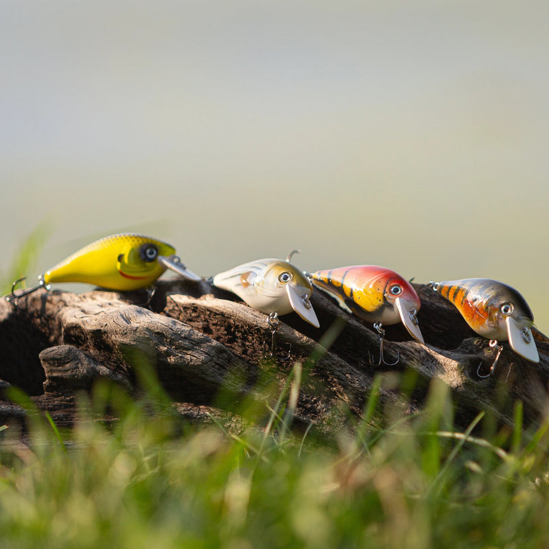 Cargue la imagen en el visor de la galería, Four fishing crankbait lures in assorted colors resting on a piece of driftwood outdoors, with blurred grass and water in the background.