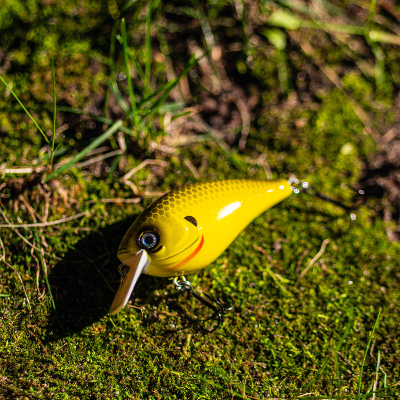 Cargue la imagen en el visor de la galería, BioSeries Squarebill Crankbait