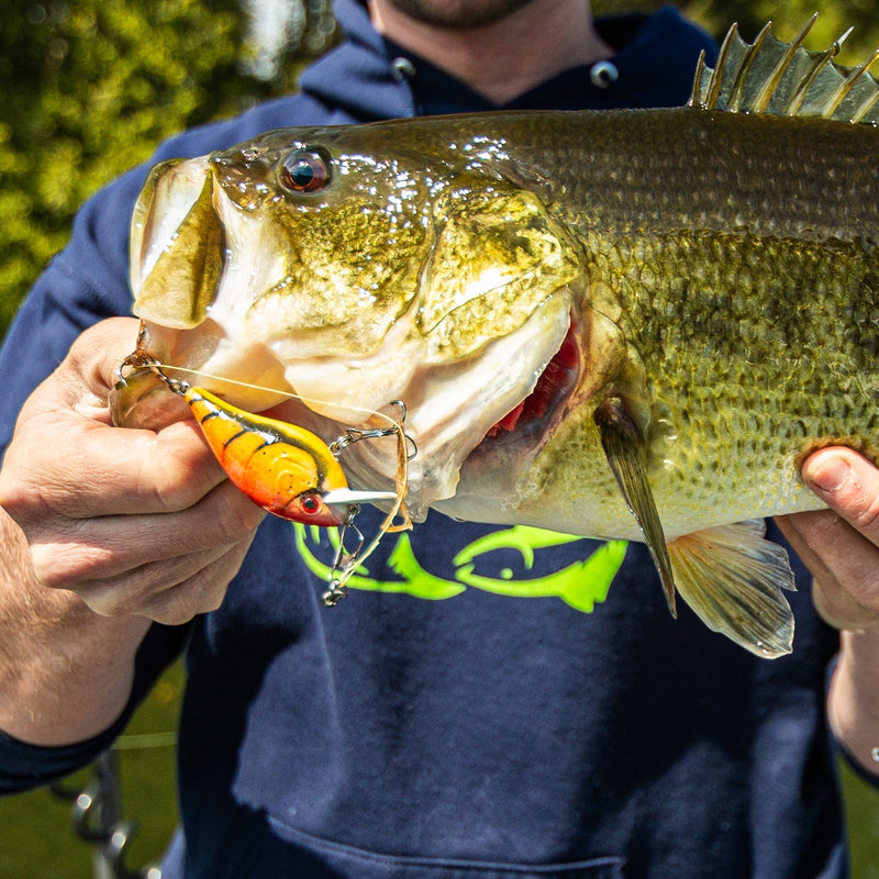 Load image into Gallery viewer, A man on a boat wearing a navy hoodie and a purple cap holds up a largemouth bass fishing lure attached to a bright orange and green jig lure, with a lake, trees, and blue sky in the background.