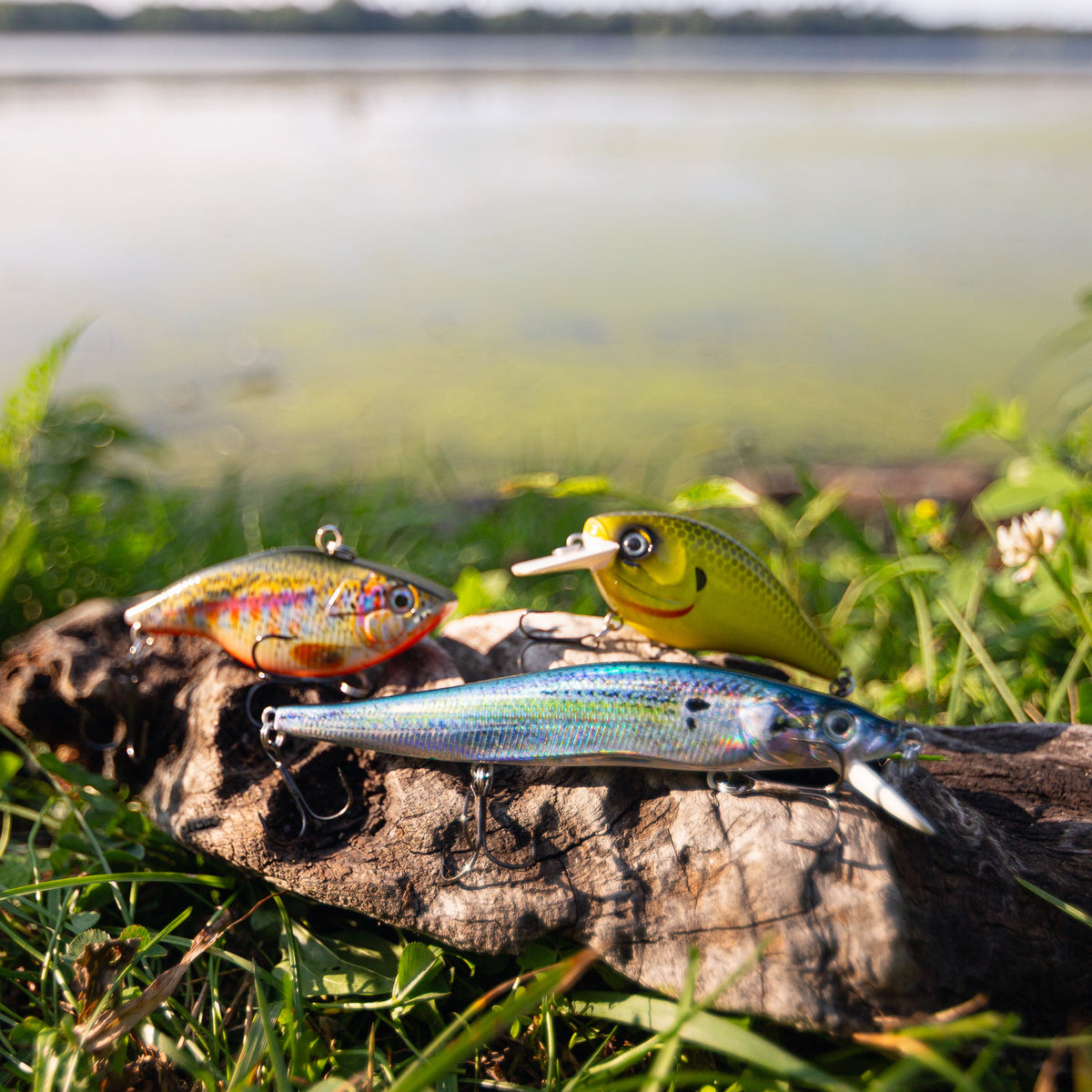 Three fishing lures displayed on a log outdoors in grassy water, including a silver-blue baitfish, a yellow topwater lure, and a multicolor crankbait.