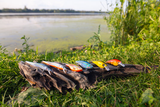 The Tackle Box