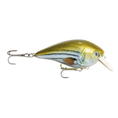 BioSeries Squarebill Crankbait – Olive Oyl