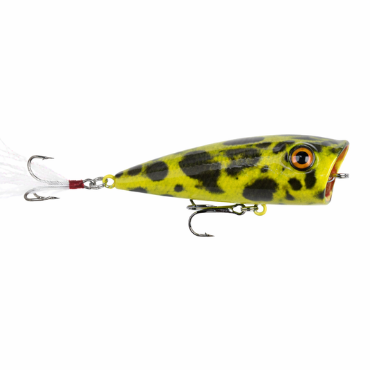 Topwater Poppers