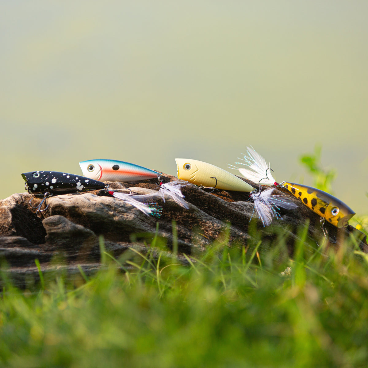 Four topwater popper fishing lures with feathers resting on a piece of driftwood in a grassy outdoor setting.