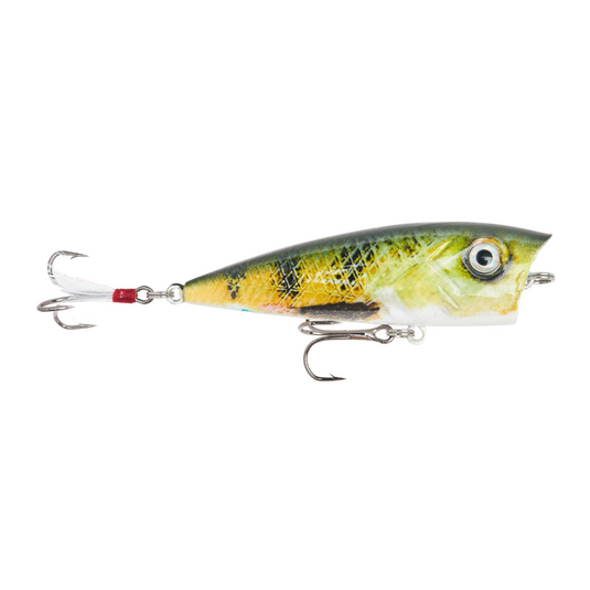 Topwater Popper - Poppin' Perch