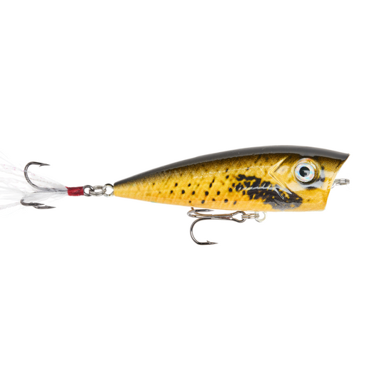 Topwater Popper - Golden Boy