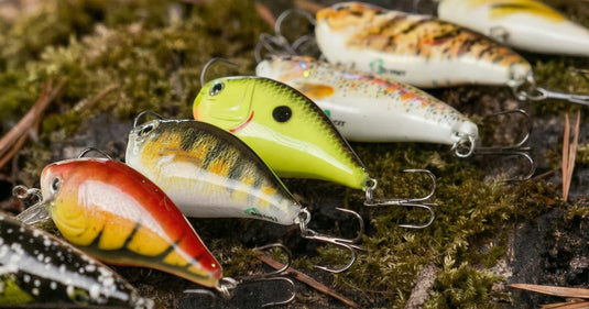 Colorful fishing lures on a mossy surface