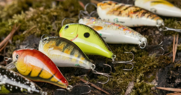 Colorful fishing lures on a mossy surface