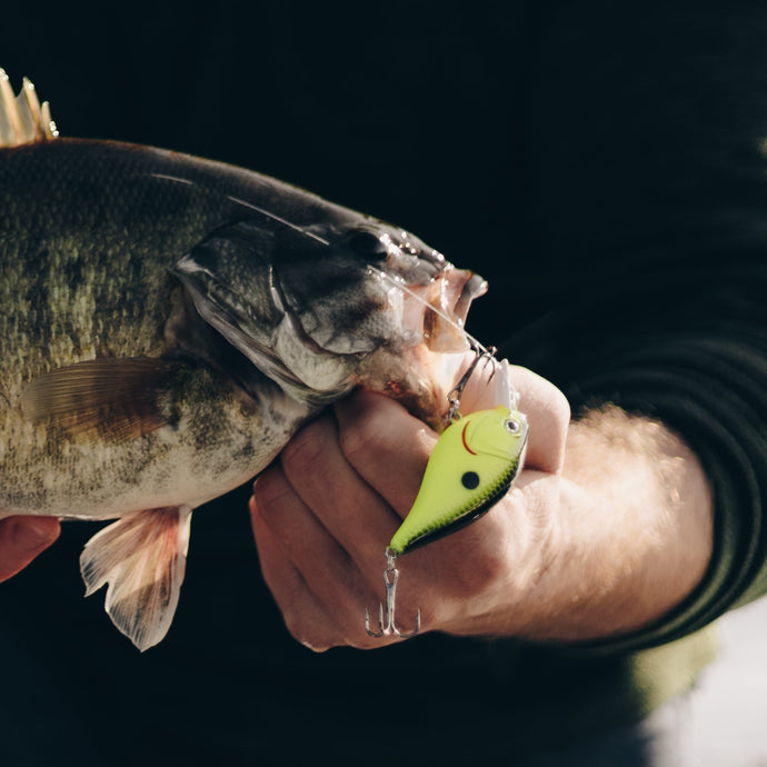 Squarebill Crankbait - Black Chartreuse