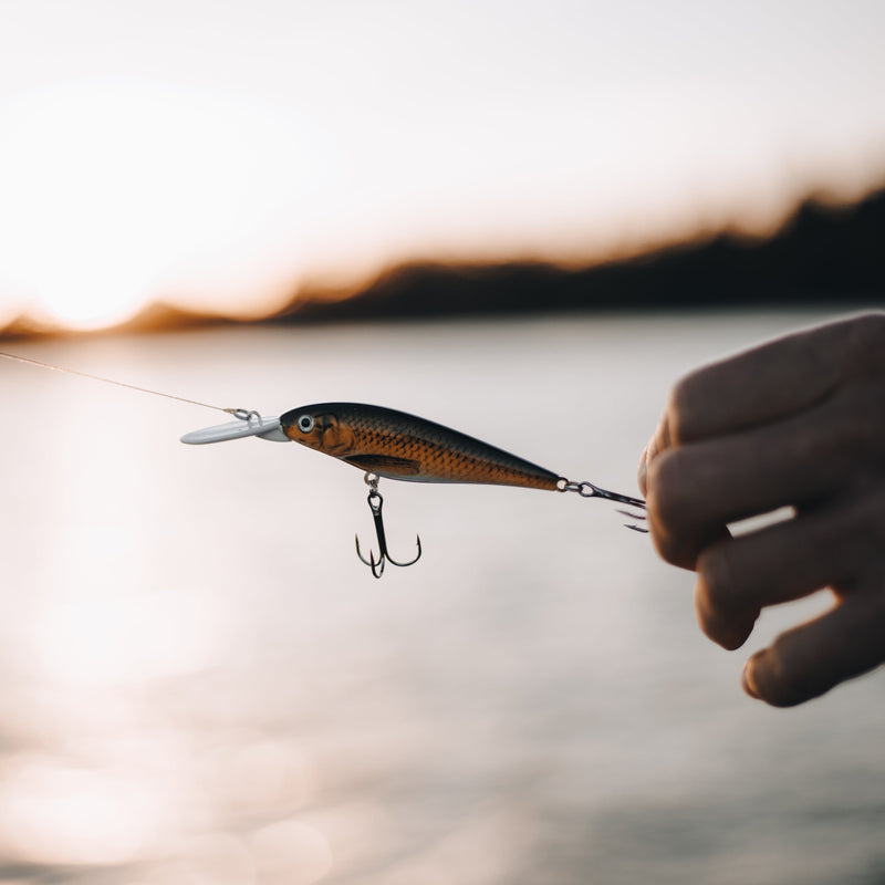 Cargue la imagen en el visor de la galería, BioSeries Deep Diving Crankbait
