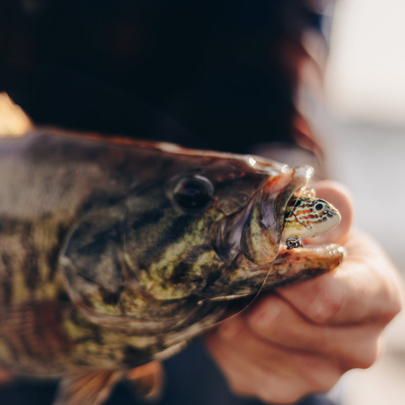 Cargue la imagen en el visor de la galería, Lipless Rattlebait - Pumpkinseed
